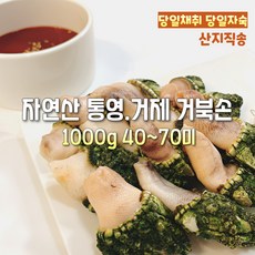 [산지직송] 국내산 자연산 청정해역 통영. 거제 자숙 거북손 500g. 1000g. 2000g 선물용 가정용 캠핑용, 1박스, 자연산 청정해역 통영. 거제 자숙 거북손 1000g