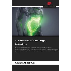 (영문도서)Treatment of the large intestine Paperback, Our Knowledge Publishing, English, 9786208778385