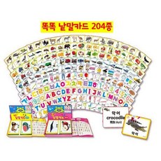 국내백화점 세이펜 똑똑 낱말카드204종 돌 선물