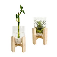 원목 테라리움 화분 만들기 (1인용 이오난사)