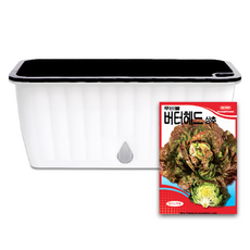 라운드오프 간단한 저면관수 텃밭화분 set, 텃밭화분+버터헤드