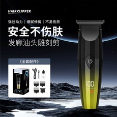 USB充電成人電動雕刻剪/理髮器 - 高轉速油頭專用 超精細修剪神器, 8810
