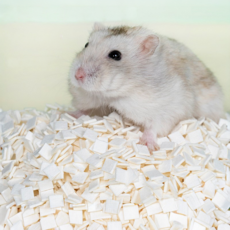 오늘도 뒹굴뒹굴 햄스터 소동물용 화이트 종이베딩, 1개, 900g