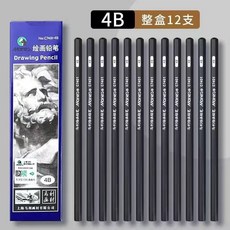 馬利素描鉛筆 2 4 6 8 軟硬炭筆 12 14 美術繪畫專用鉛筆, 1個, 4B 12支/盒
