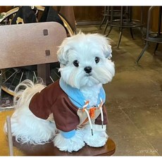 寵物貓咪狗狗秋冬衣服 拚色連帽加絨衛衣 馬爾濟斯保暖舒適時尚服裝, 衛衣 棕色,M背29建議2.5-3.5公斤左右, 1個