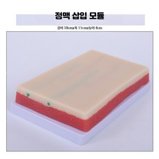 피부 모형 실습 인공 연습용 스킨 패드 연습 교육용 교육, 1개, 정맥 주사 모듈