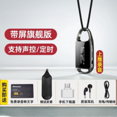 Newsmy錄音筆2025新品 大螢幕長續航102小時 雙麥精準錄音 智能定時聲控 十級強降噪 送皮套, 旗艦款【帶屏三倍續航】, 16GB