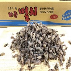 [미각] 볶음 조림 국내산 소 햇 꼴뚜기 500g, 1개