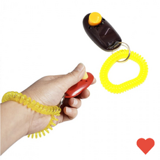 강아지장난감 애견 훈련