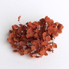 화연양화 프리저브드플라워 수국 1g 30색, 27 단풍-탄