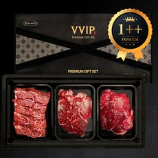 국내산 한우 프리미엄 1++ 플래티넘 B세트 3종 한우선물세트, 1세트