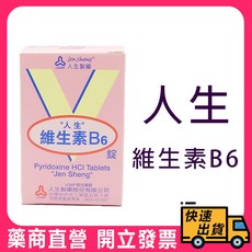 人生製藥 人生 維生素B6 100錠, 1個, 人生 維生素B6(新效期)