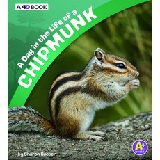 A Day in the Life of a Chipmunk: A 4D Book Hardcover, Pebble Books