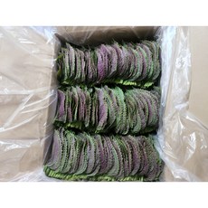 [나리팜] 산지직송 찹찹이깻잎 밀양깻잎 당일수확 당일발송, 1박스, 1kg