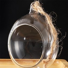 모두곳간 투명볼 테라리움 5쌍 투명볼장식, 8cm