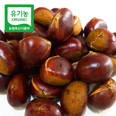 청원루 유기농 부여 꿀 대보 알밤 대 사이즈, 2kg, 1개