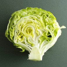 친환경 국내산 유기농 양상추 2개입 4개입 개당 500g내외, 2개, 500g