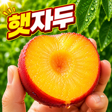 [초특가할인] 고당도 햇 대석 자두, 1박스, 1kg