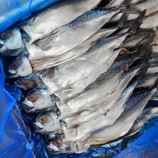 [싱싱함]국산 파지 못난이 자반고등어 20손 중 사이즈, 1개, 7~8kg