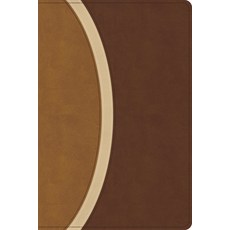 (영문도서)CSB Rainbow Study Bible Brown Leathertouch (Limited Edition) Imitation Leather, Holman Bible Publishers, English, 9798384534211