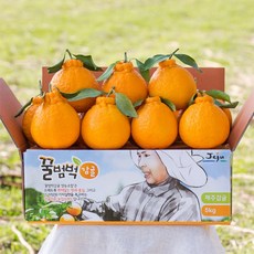 꿀범벅 제주 한라봉 2.5kg 4.5kg, 1박스, 제주 한라봉 2.5kg소과(15-20)