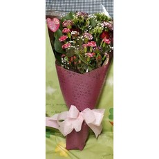 母親節花束台北市花店, 1個