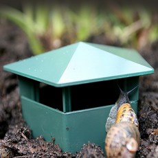 앤에이 달팽이 집 달팽이사육장