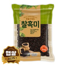 현대농산 국산 찰흑미 5kg, 1개