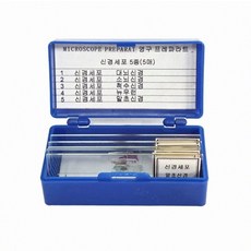 고교과학반 신경계 구조 관찰용 영구표본 세트 5가지 신경세포 현미경 전용 정밀 유리 슬라이드, 1개