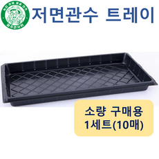 파주큰사위 두꺼운 저면관수 받침대 모종판 육모판 파종 육묘 모종 묘목 트레이, 10개, 검정