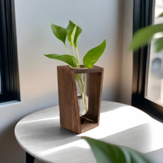 홈카페 감성 원목 프레임 유리병 수경 식물 화분 세트, 1세트