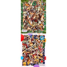 {集鸚社} 鸚鵡熟化日糧 大型/中大型/喜愛大顆粒堅果穀物首選。((無殼款)), 1個, 6號3斤+8號4斤｛7斤｝