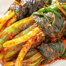 톡쏘는 갓과 알싸한 파! 갓파김치, 1개, 1kg