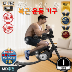 플렉스몰 승마운동기구 말타기 로잉머신 실내 홈트 다이어트 복근 뱃살 코어 가정용 전신운동기구, I