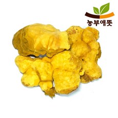 농부애뜻 상황버섯 100g 3등급 국산, 1개