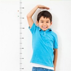 [기성]키재기자 스티커투명심플, 50cm부터 150cm
