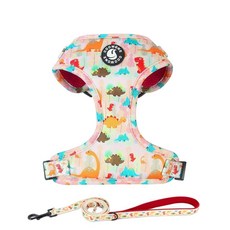 조절 가능한 강아지 하네스 및 목줄 세트 여아용 에어 메시 개 조끼 1.5m(5피트) 훈련 부드러운 손잡이 애완동물 탈출 방지 소형 중형 대형견용 (공룡 M), 아보카도