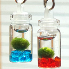 마리모 열쇠고리병 세트/ 마리모 키우기, 상세 설명 참조, 1개