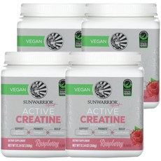 썬워리어 스포츠 액티브 크레아틴 모노하이드레이트 라즈베리 350 g Sunwarrior Sport Active Creatine Monohydrate Raspberry 350g, 4개
