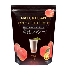 Naturecan 21g) (620g 20 유청 단백질 (단백질 다이어트 저 탄수화물 저지질, 620g