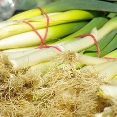 [밋앤밀] 신안 햇 대파(노지 흙대파) 상품 2kg, 1