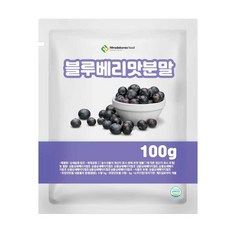 블루베리맛분말 100g 샘플, 1개, 상세페이지 참조