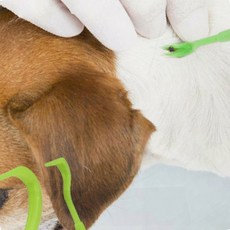 반려동물 진드기 제거기 강아지 고양이 털 관리 핀셋 집게, 진드기핀셋-2p