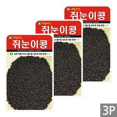 세인화분 쥐눈이콩 30g - 국산 약콩 콩 씨 씨앗 서목태, 3개