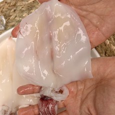 CM팜 신선담백 제주 손질 한치 500g 1kg, 1세트, 제주 손질 한치 500g 1팩 3-4미