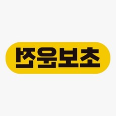 반사자석스티커 bns 초보운전2 고휘도반사 자석 자동차스티커 자석스티커/차량용자석/자동차용품/차량용스 79000EA 1EA, 본상품