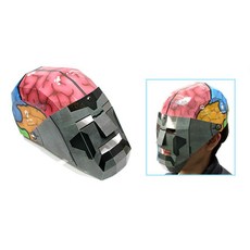 뇌역할 학습용 마스크 만들기 1인용 실험세트 인체 과학상자 과학놀이키트 실험도구, 1개