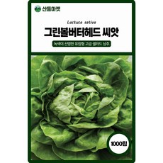 그린볼버터헤드 상추 씨앗 1000립 유럽형 고급 샐러드 상추씨 종자, 1개 1개