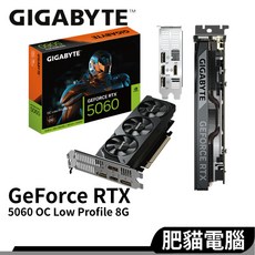 GIGABYTE 技嘉 GeForce RTX 顯示卡, 5060 OC 8G【半高】