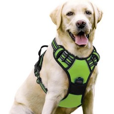 노풀 도그 하네스 앞 클립 헤비 듀티 반사 기능 대형견 산책용 손잡이 간편한 제어 강아지, 색상: 10. 녹색 / 크기: B. L